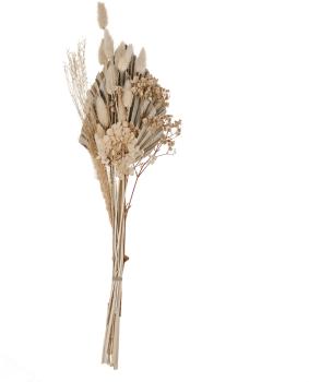 Eglo trockenblumen caraquet 55cm 428084 beige, strauss - Eglo-428084-9008606266913