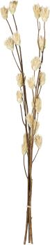Eglo trockenblume senneterre 428166 grün - Eglo-428166-9008606282159