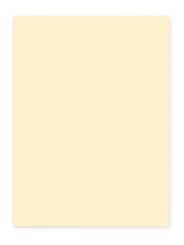 ELCO Büropapier Color A4 74616.41 80g, hellchamois 100 Blatt