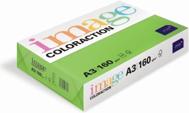 IMAGE COLORACTION Kopierpapier Java A3 285160 160g, maigrün 250 Blatt