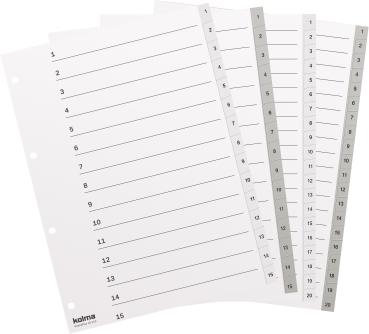 Kolma register kolmaflex a4 18.120.03 grau 1-20 - Kolma-18.120.03-7611967180068-02.jpg