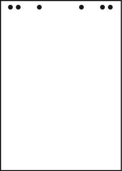 Landre flipchart-block 68x99cm 10050588 80g,blanko recycl. 5x20 blatt - Landre-10050588-4006144604124
