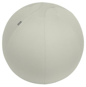 Leitz sitzball ergo active 65cm 6542-00-85 hellgrau - Leitz-6542-00-85-4002432134762