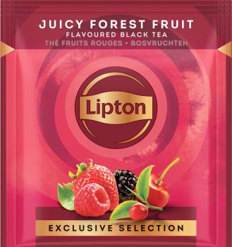 Lipton waldfrüchte tee 4071217 25 pyramiden - Lipton-4071217-8720608020584-02.jpg