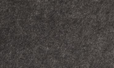 Magnetoplan infinity wall x acoustics 1010213 anthrazit 490x1980mm - Magnetoplan-1010213-4013695062037-03.jpg