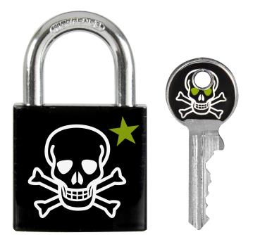 Master lock vorhangschloss 30mm 66246800 totenkopf motiv - Master-lock-66246800-3520190942371