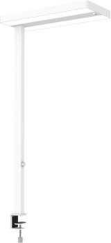 MAUL LED-Tischleuchte MAULjuvis 8258702 Bewegung-/Lichtsensor, dim.