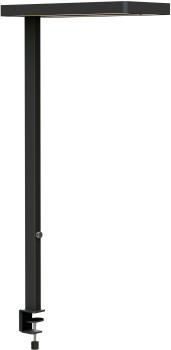 MAUL LED-Tischleuchte MAULjuvis 8258790 Bewegung-/Lichtsensor, dim.