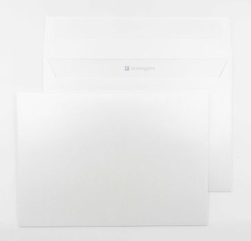 NEUTRAL Couverts C5 358546 Silber Metallic 120g 250 Stück