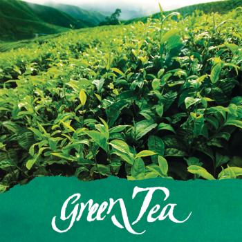 Online tintenglas 15ml 17065/3 dufttinte green tea, green - Online-17065-3-4014421170651-03.jpg