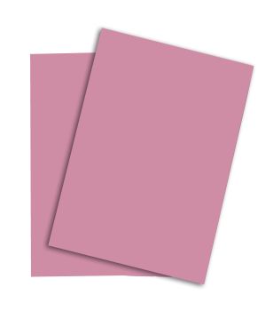 PAPYRUS Rainbow Papier FSC A4 88043107 120g, rosa 250 Blatt