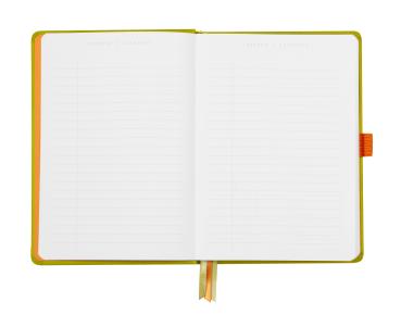 Rhodia goalbook notizbuch a5 118575c hardcover anisgrün 240 s. - Rhodia-118575c-3037921185759-02.jpg