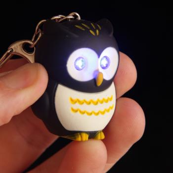 Roost schlüsselanhänger eule owl24 led, assortiert - Roost-owl24-5055071685910-03.jpg