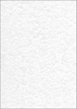 SIGEL Design-Papier A4 DP607 90g, Struktur 100 Blatt