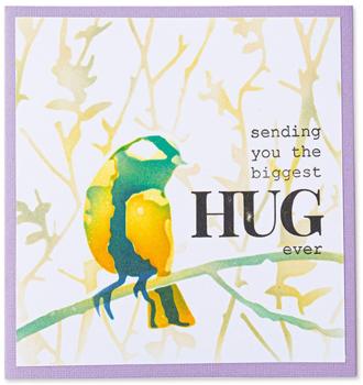 Sizzix schablone vogel 665265 set - Sizzix-665265-0630454278658-02.jpg