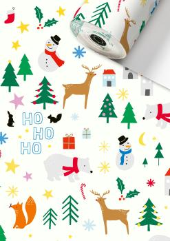 STEWO Apparaterollen Geschenkpapier 2521536960 Rob 0,3x250m