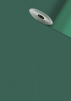 STEWO Apparaterollen 2522658247 Uni Duplo 0.5x250m