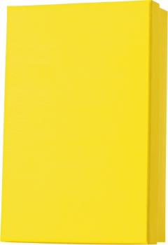 Stewo geschenkbox one colour 2553785510 gelb 10 stück - Stewo-2553785510-7613074024365-02.jpg