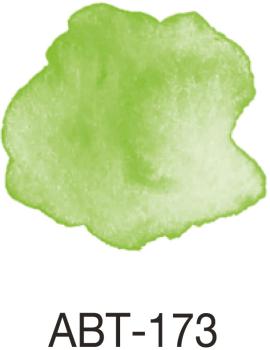 Tombow dual brush pen abt 173 willow green - Tombow-abt-173-4901991901283-03.jpg