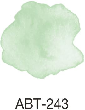 Tombow dual brush pen abt 243 mint - Tombow-abt-243-4901991901368-03.jpg