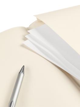 Transotype sensebook red rubber a5 75020501 liniert, m, 135 seiten beige - Transotype-75020501-8716329071363-02.jpg