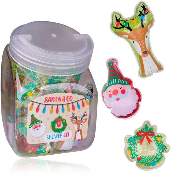 Accentra mini-duschgel 50ml 8158345 santa & co - Accentra-8158345-4015953701153