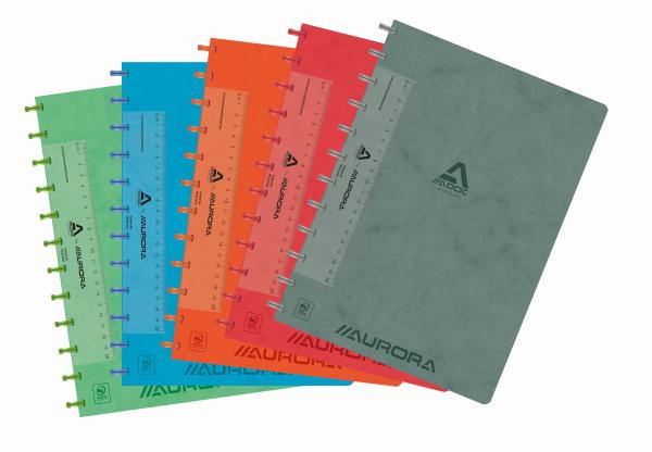 Adoc ringbuch lin-ex a4 6811.744 assortiert, liniert 144 seiten - Adoc-6811744-5410733117442