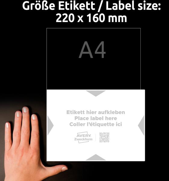 Avery zweckform träger-etiketten 220x160mm 8003-5 hellgrau 5 stk./5 blatt - Avery-zweckform-8003-5-4004182335000-06.jpg