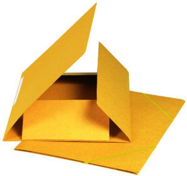 Biella gummibandmappe a4 17840020u gelb, 590gm2 220 bl. - Biella-17840020u-7611365252497