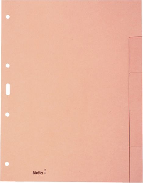 Biella kartonregister a4 19640500u braun blanko 5-teilig - Biella-19640500u-7611365209224