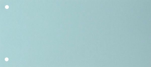 Biella trennstreifen karton 2 loch 19919005u blau, 24x10.5cm 100 stk. - Biella-19919005u-7611365357390