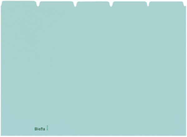 Biella kartei-leitkarten blanko a4 21045505u blau 25-teilig - Biella-21045505u-7611365209910