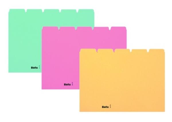 Biella kartei-leitkarten blanko a5 21055505u blau 25-teilig - Biella-21055505u-7611365210091-02.jpg