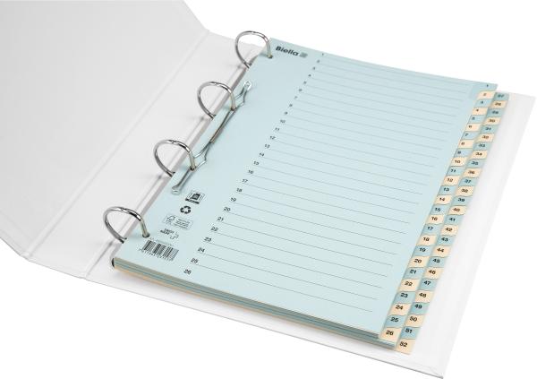Biella kartonregister 210g a4 46244000u blau/gelb 1-10 - Biella-46244000u-7611365231478-05.jpg