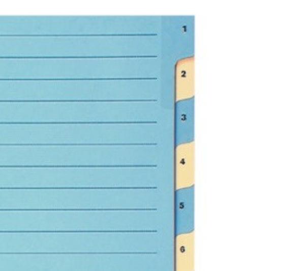Biella kartonregister 210g a4 46244100u blau/gelb 1-12 - Biella-46244100u-7611365231492-02.jpg