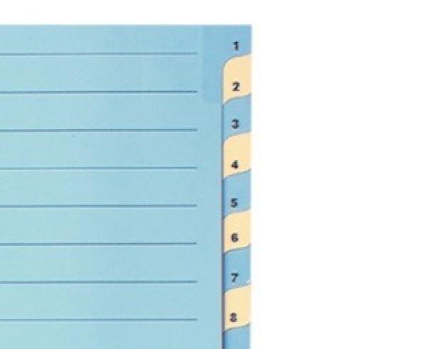 Biella kartonregister 210g a4 46244200u blau/gelb 1-20 - Biella-46244200u-7611365231515-03.jpg