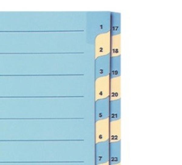 Biella kartonregister 210g a4 46244300u blau/gelb 1-31 - Biella-46244300u-7611365231539-03.jpg