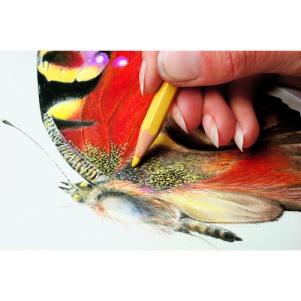 Caran d'ache farbstifte prismalo 3mm 999.250 kanariengelb - Caran-dache-999.250-7610186843587-2.jpg