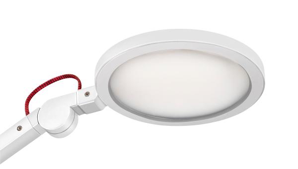 Cep tischleuchte giant cled-0350sil eiche, dimmbar 11w - Cep-cled-0350sil-3462159017181-03.jpg