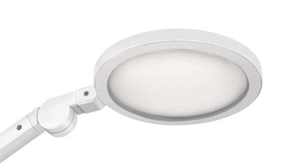 Cep tischleuchte giant cled-0350sil eiche, dimmbar 11w - Cep-cled-0350sil-3462159017181-05.jpg