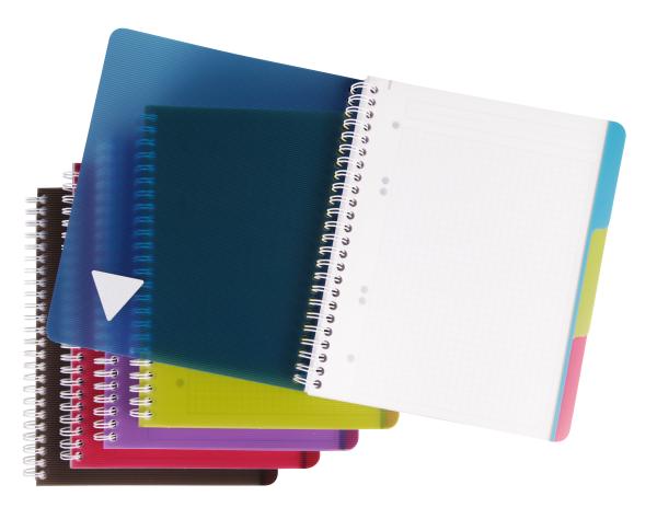 Clairefontaine linicolor heft a5+ 329755 5mm 90 blatt - Clairefontaine-329755-3329683297550-10.jpg