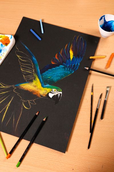 Clairefontaine paint'on a4 975169c schwarz 20 blatt - Clairefontaine-975169c-3329689751698