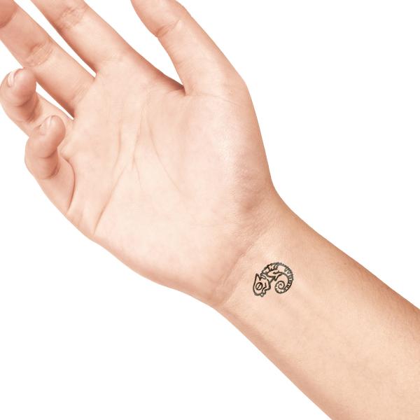 Colop ladot stein small 167843 chameleon - Colop-167843-8718503971599-06.jpg