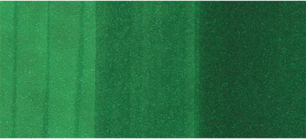 Copic marker classic 20075213 g19 - bright parrot green - Copic-20075213-4511338001264-03.jpg