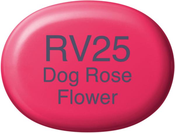 Copic marker sketch 21075180 rv25 - dog rose flower - Copic-21075180-4511338007273-02.jpg
