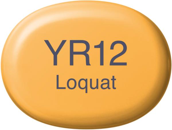 Copic marker sketch 21075270 yr12 - loquat - Copic-21075270-4511338049013-02.jpg