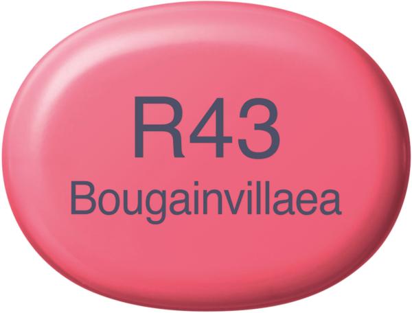 Copic marker sketch 21075286 r43 - bougainvillaea - Copic-21075286-4511338008973-02.jpg
