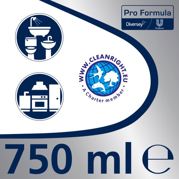 Domestos fugenreiniger porfess. 750ml 7518293 - Domestos-7518293-7615400111794-03.jpg