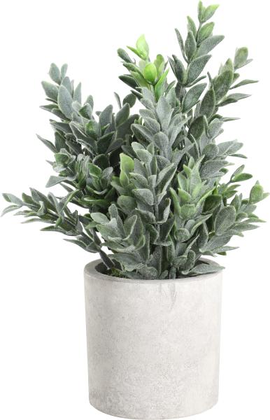 Eglo kunstpflanze 22cm 428027 grün, im topf - Eglo-428027-9008606253456