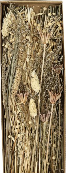 Eglo trockenblume 60cm 428038 beige - Eglo-428038-9008606258635-02.jpg